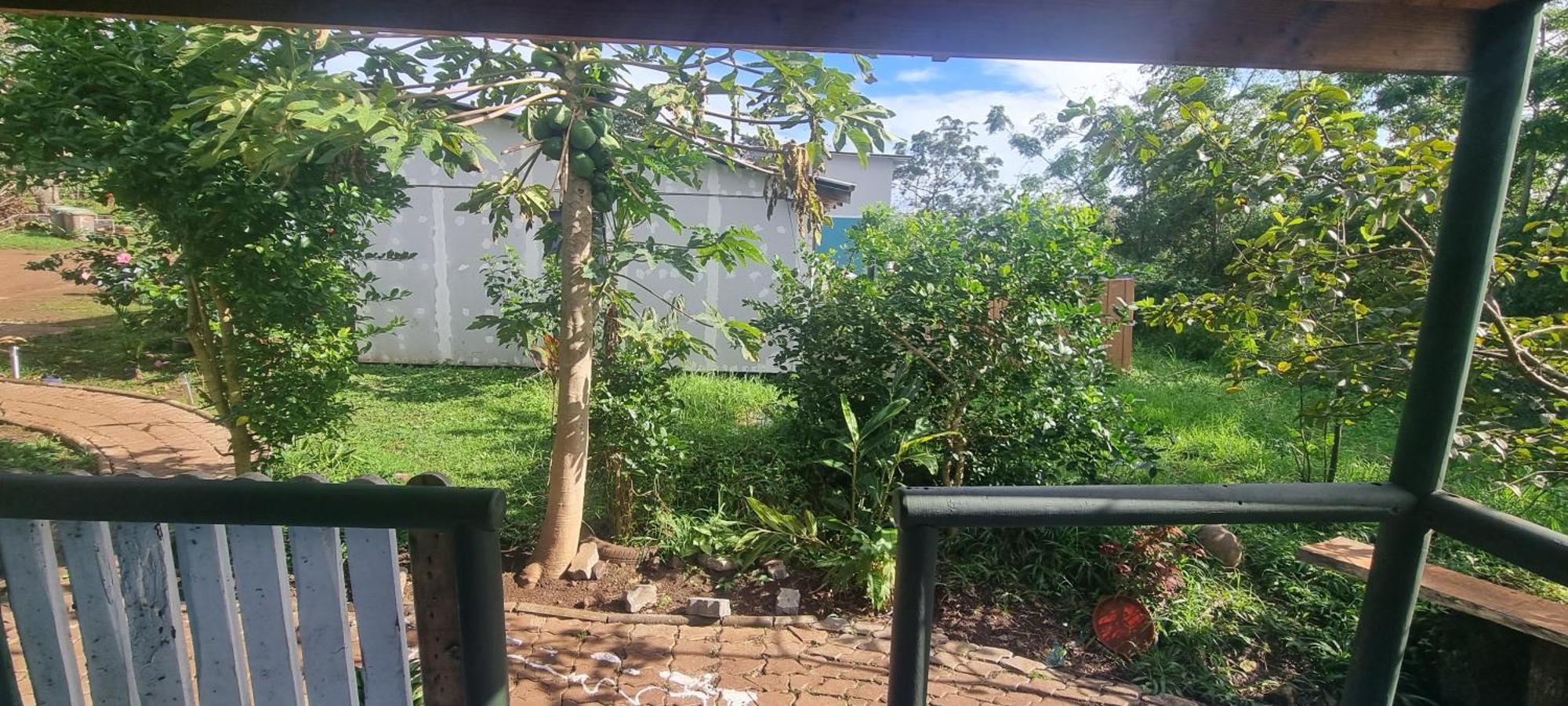 هانجا روا Hostal Henua Roa المظهر الخارجي الصورة